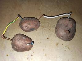 חשמל מתפוחי אדמה - לערוך ניסוי פשוט