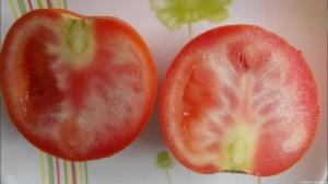 למה לגדל עגבניות עם ורידים לבנים, ומה לעשות