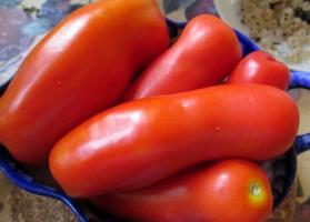 עגבניות Zhigalo - מגוון יומרני ויוצא דופן, מאוד פורה!