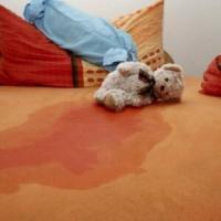 הריח של תפוקת השתן של הילדים מהספה לשטיח