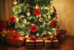 כיצד לבחור עץ חג מולד מבוסס על סימן גלגל המזלות שלך. 12 רעיונות מעולים