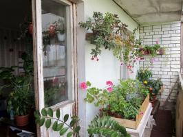 איך לצייד גן חורפי במרפסת