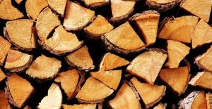 מה עץ עדיף לחמם את התנור?