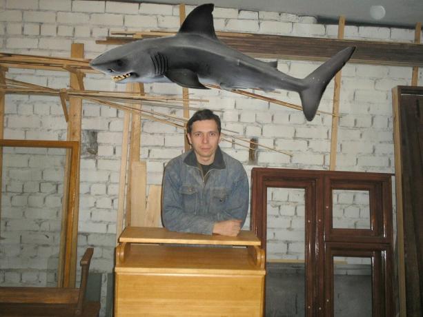 כריש נלקח-תמונות Yandex שירות