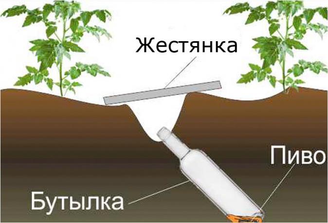 ערכת עיצוב אתר klopkan.ru