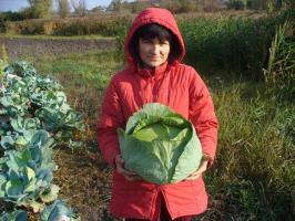5 דברים חשובים לעשות בגינה באוקטובר יבול עשיר 2019