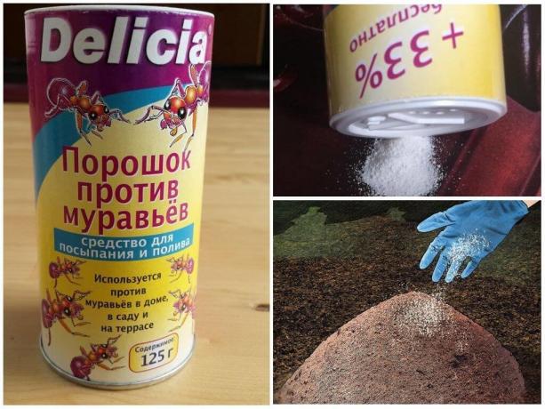 Delicia אבקה מן הנמלים, העלות 500 גרם, יותר מ 600 רובל.
