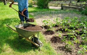 דשן אורגני בגינה: 5 אחד הטובים ללא כימיה