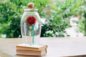 איך להכין מתנה ייחודית לנשים לרגל השנה החדשה? ללמוד להכין ורדים בבקבוק במו ידינו
