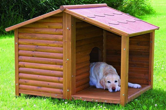 גג גייבל בבניית ביתנים לכלבים