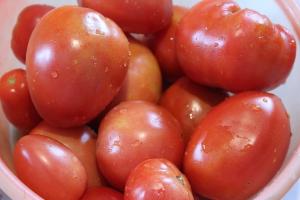סקירת 5 סוגים של עגבניות גדולות ובשרניות. את הציונים הטובים ביותר